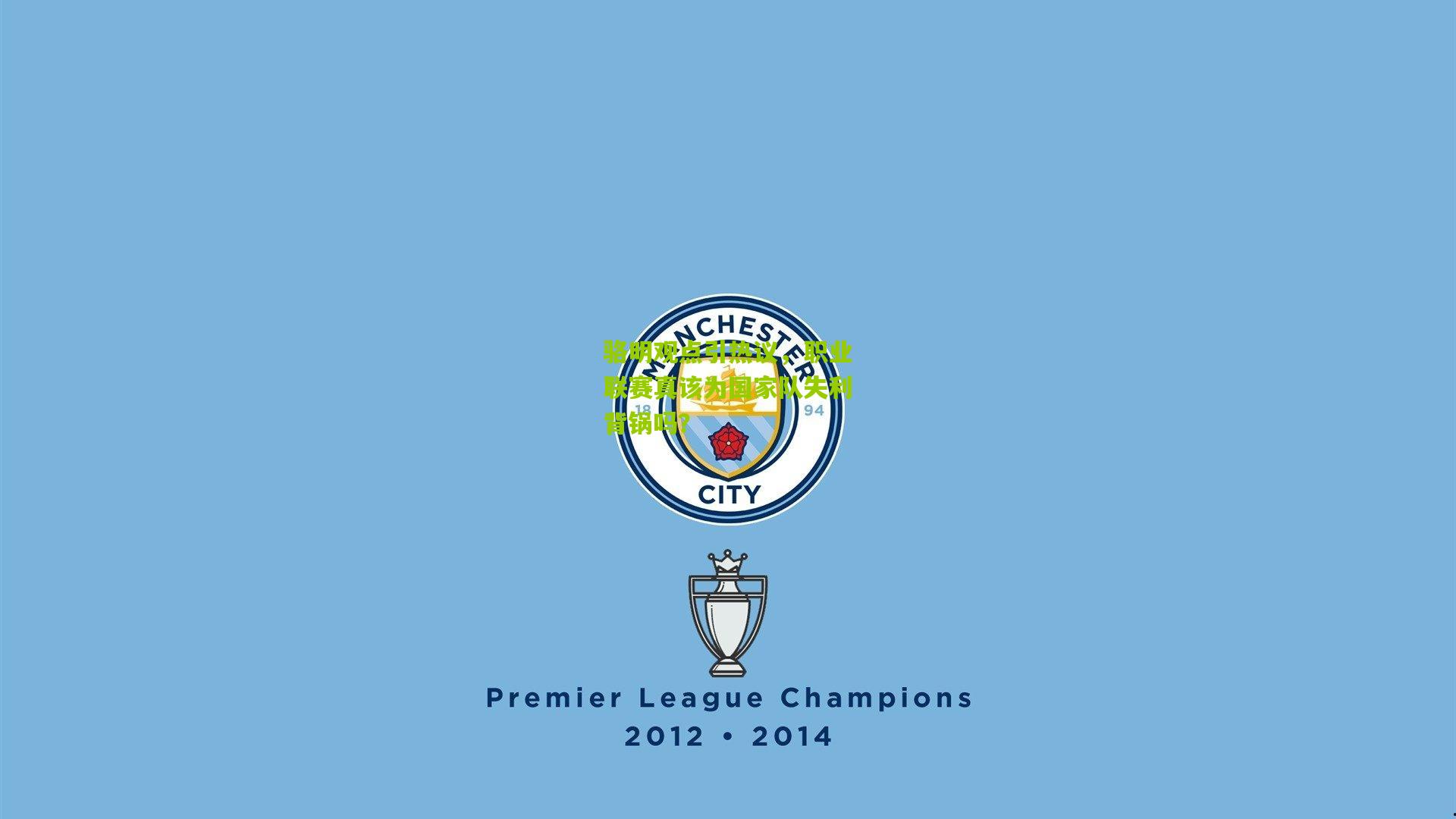 骆明观点引热议，职业联赛真该为国家队失利背锅吗？