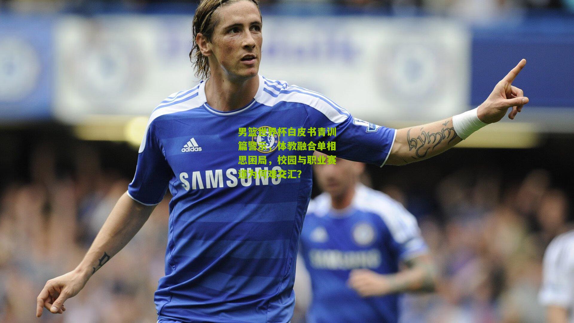 男篮世界杯白皮书青训篇警示，体教融合单相思困局，校园与职业赛道为何难交汇？